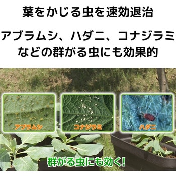 パイベニカVスプレー 住友化学園芸