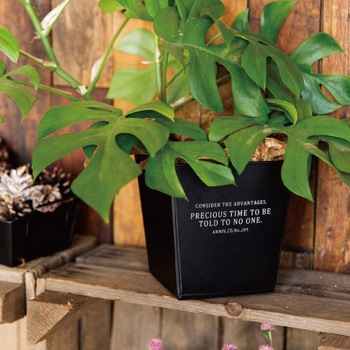 インダストリアルブリキポット HEADS(ヘッズ)