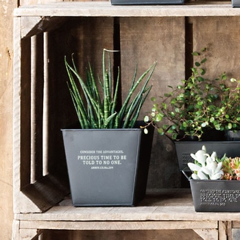 インダストリアルブリキポット HEADS(ヘッズ)