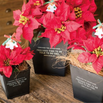 インダストリアルブリキポット HEADS(ヘッズ)