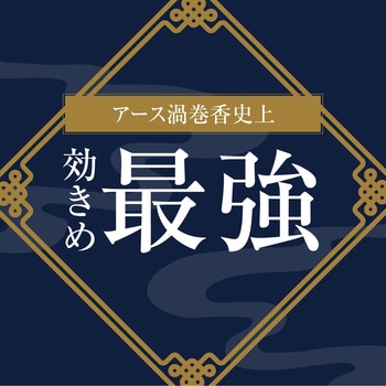 アース渦巻香 プロプレミアム アース製薬