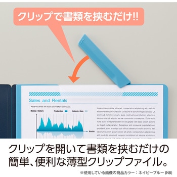 クリップインファイル セキセイ