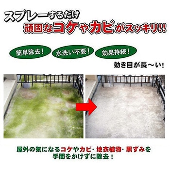 業務用 コケカビ取り トーヤク