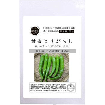 【タネ】甘長とうがらし グリーンフィールドプロジェクト
