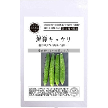 【タネ】鮮緑キュウリ グリーンフィールドプロジェクト