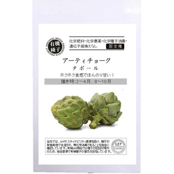 【タネ】アーティチョーク 〈タボール〉 グリーンフィールドプロジェクト