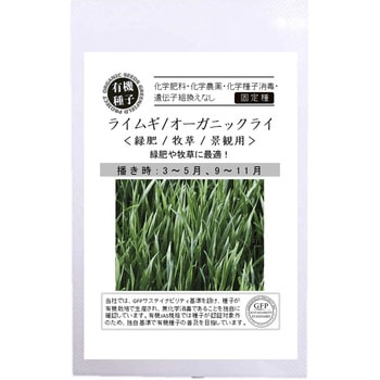 【タネ】ライムギ 〈緑肥/牧草〉 グリーンフィールドプロジェクト