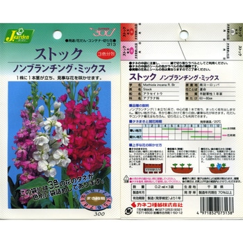 【タネ】ストック ノンブランチングミックス カネコ種苗