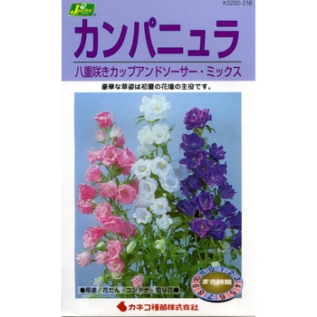 【タネ】カンパニュラ 八重咲きミックス カネコ種苗