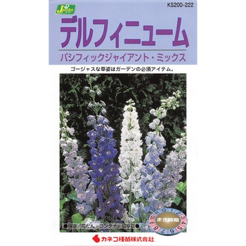 【タネ】デルフィニューム PG混合 カネコ種苗
