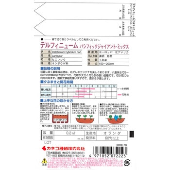 【タネ】デルフィニューム PG混合 カネコ種苗