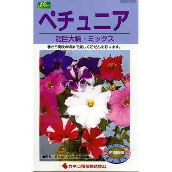 【タネ】ペチュニア 超巨大輪・ミックス カネコ種苗