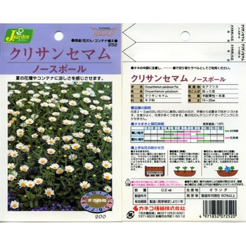 【タネ】クリサンセマム ノースポール カネコ種苗