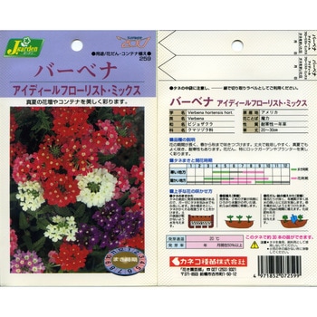 【タネ】バーベナ アイディールFミックス カネコ種苗
