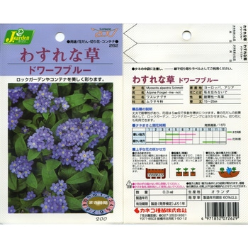 【タネ】わすれな草 ドワーフブルー カネコ種苗