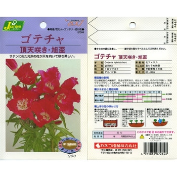 【タネ】ゴテチャ 頂天咲き・旭盃 カネコ種苗