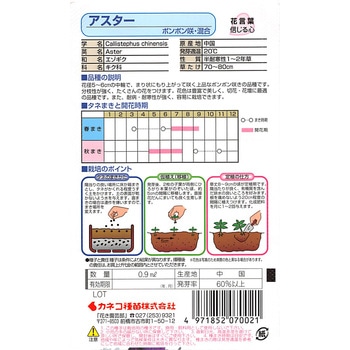 【タネ】アスター ポンポン咲・混合 カネコ種苗