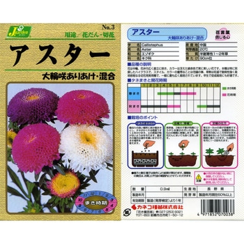 【タネ】アスター 大輪咲ありあけ・混合 カネコ種苗