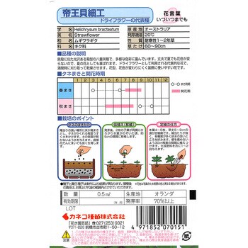 15 【タネ】帝王貝細工 1セット(5袋) カネコ種苗 【通販モノタロウ】