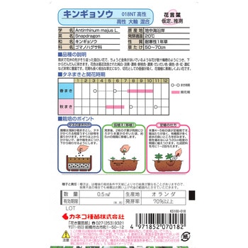 【タネ】金魚草 高性大輪花・混合 カネコ種苗