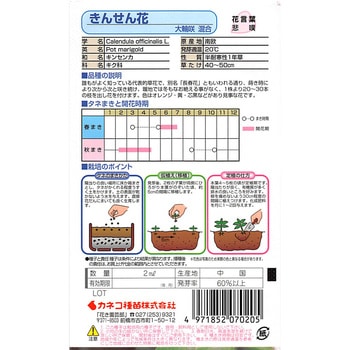 【タネ】きんせん花 大輪咲・混合 カネコ種苗