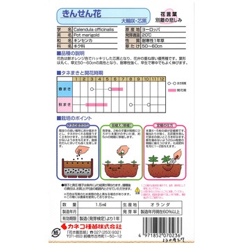 【タネ】きんせん花 大輪咲・芯黒 カネコ種苗