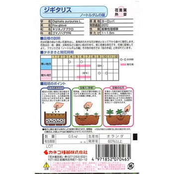 【タネ】ジキタリス ノートルダムの鐘 カネコ種苗