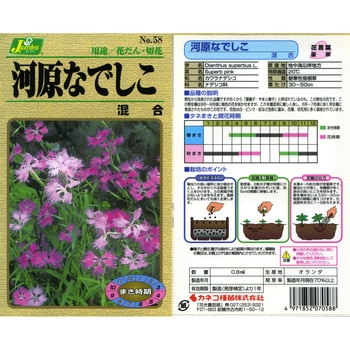 【タネ】河原なでしこ 混合 カネコ種苗