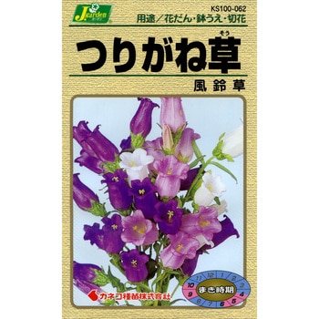 【タネ】つりがね草 風鈴草 カネコ種苗