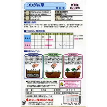 【タネ】つりがね草 風鈴草 カネコ種苗