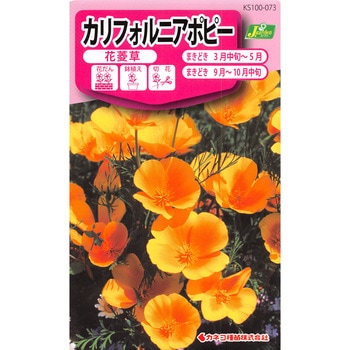 【タネ】カリフォルニアポピー 花菱草 カネコ種苗