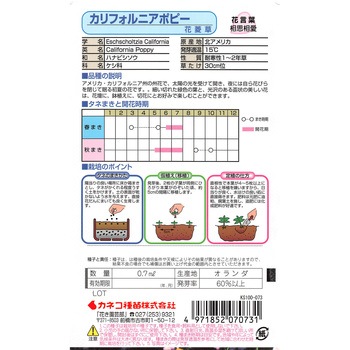 【タネ】カリフォルニアポピー 花菱草 カネコ種苗