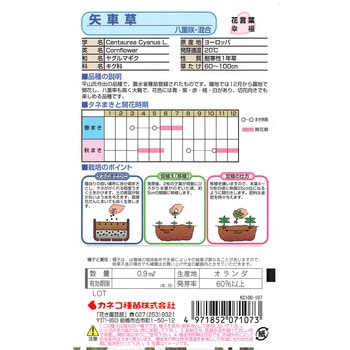 【タネ】矢車草 八重咲・混合 カネコ種苗
