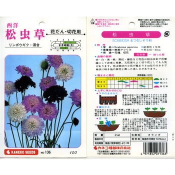 【タネ】西洋松虫草 リンポウギク・混合 カネコ種苗