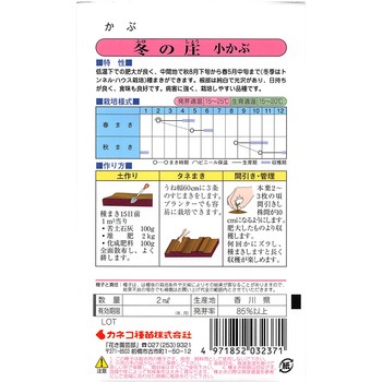 【タネ】小かぶ 冬の庄 カネコ種苗