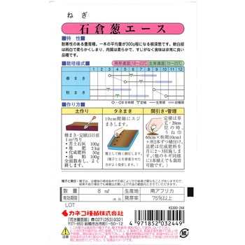 【タネ】ねぎ 石倉葱エース カネコ種苗