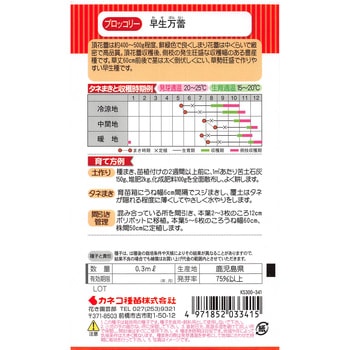 【タネ】早生ブロッコリー 早生万蕾 カネコ種苗