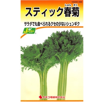 【タネ】スティック春菊 カネコ種苗