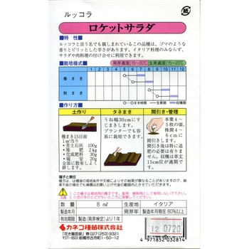 【タネ】ルッコラ ロケットサラダ - カネコ種苗
