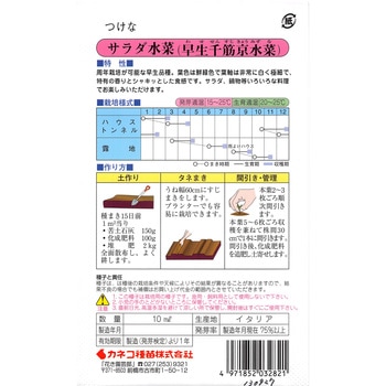 【タネ】サラダ水菜 早生千筋京水菜 カネコ種苗
