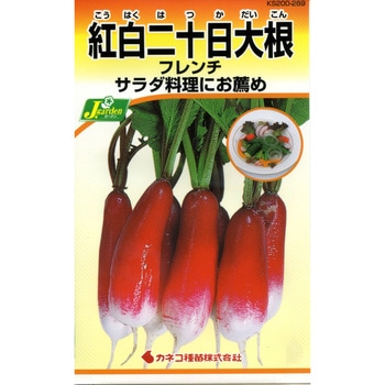 289 【タネ】紅白二十日大根 フレンチ カネコ種苗