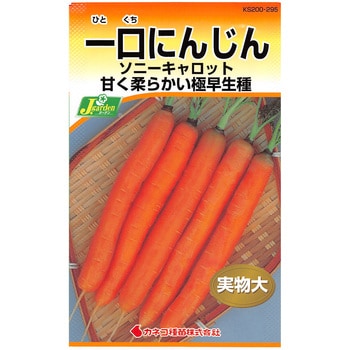 295 【タネ】一口にんじん ソニーキャロット 1セット(5袋) カネコ種苗