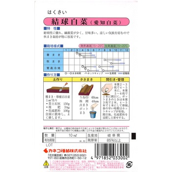 【タネ】結球白菜 カネコ種苗