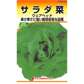【タネ】サラダ菜 ウェアヘッド カネコ種苗