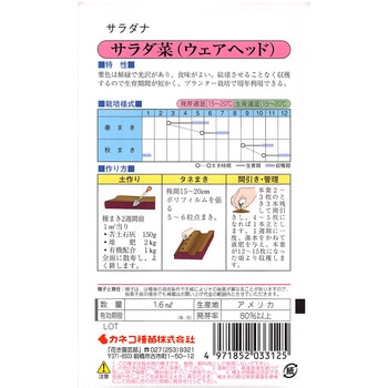 【タネ】サラダ菜 ウェアヘッド カネコ種苗