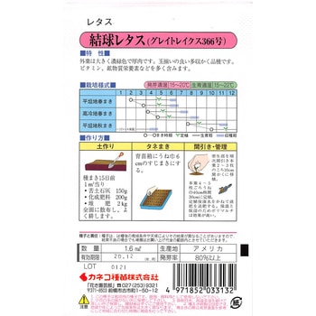 【タネ】結球レタス グレイトレイクス カネコ種苗