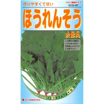 【タネ】ほうれんそう 次郎丸 カネコ種苗