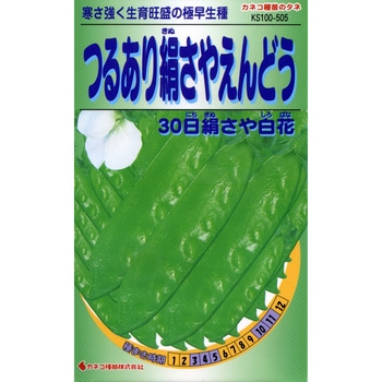 【タネ】つるあり絹さやえんどう 30日絹さや白花 カネコ種苗