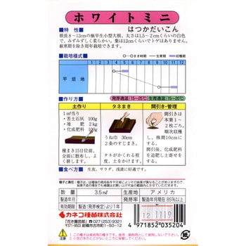 520 【タネ】二十日大根 ホワイトミニ 1セット(5袋) カネコ種苗 【通販