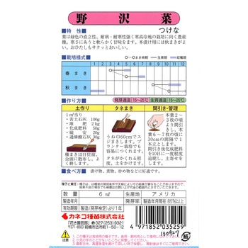 【タネ】野沢菜 カネコ種苗